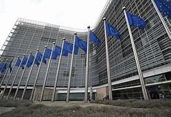 بررسی نظام شکایات فردی در کنوانسیون اروپایی حقوق بشر و تاثیر آن به عنوان شی ...